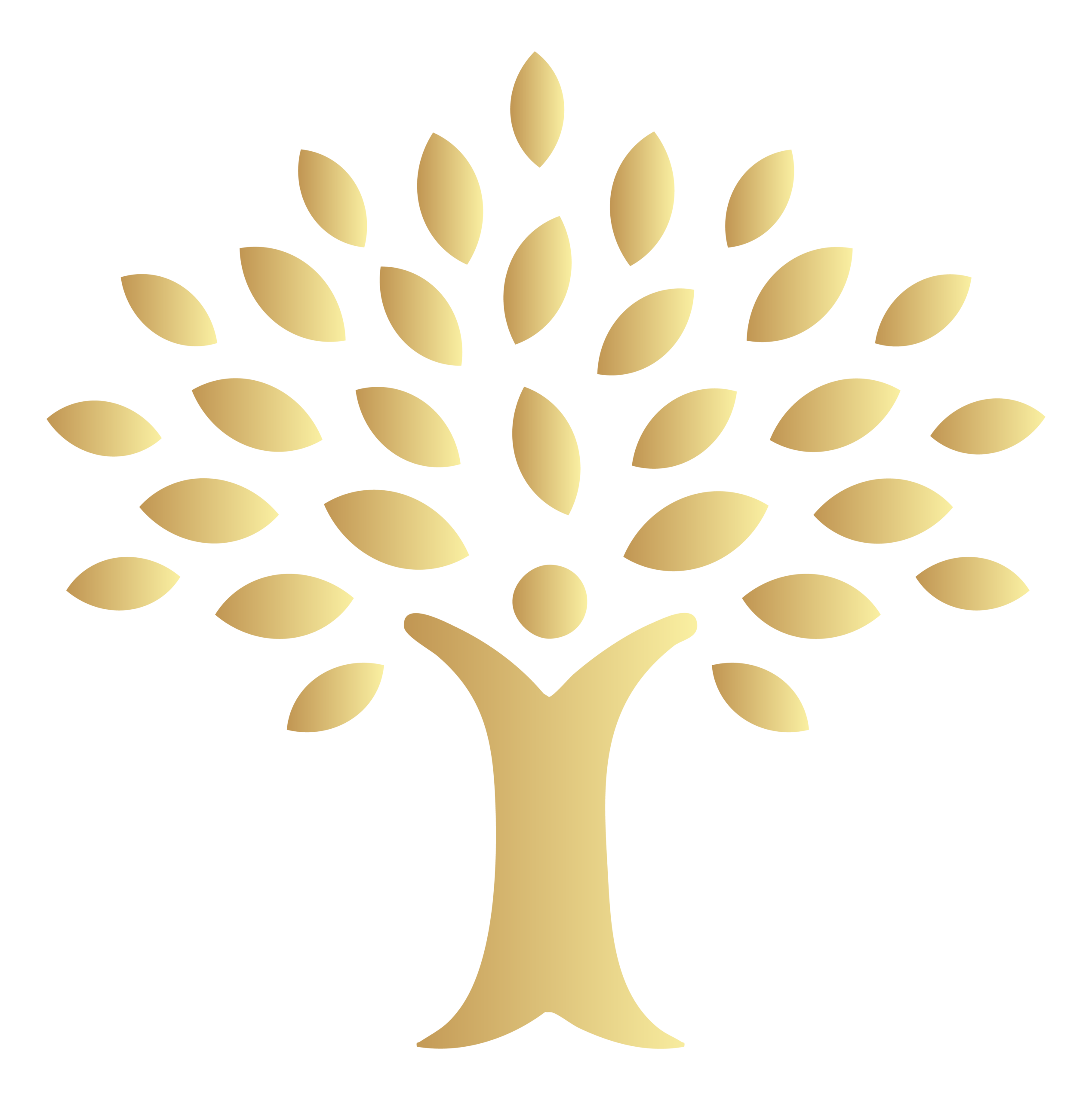 Elm Real Estate Group, LLC